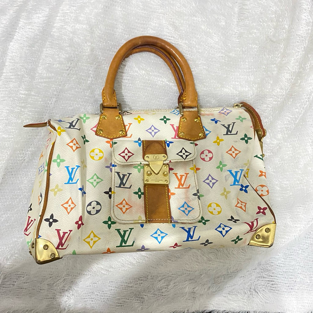 LV speedy multicolor bag