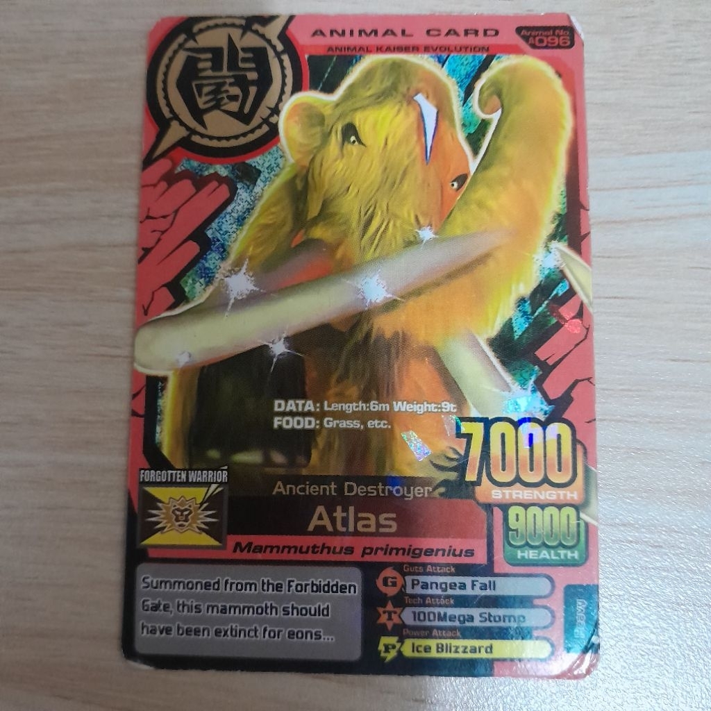 Kartu Animal Kaiser Atlas KW