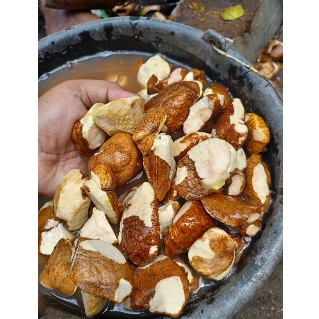 (TERMURAH) Gayam Mentah Kupas Kualitas Super 1 Kg Langsung Kupas Khas Bantul