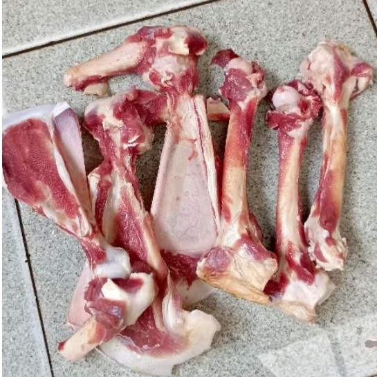 Tulang Sumsum dan Bokong kambing