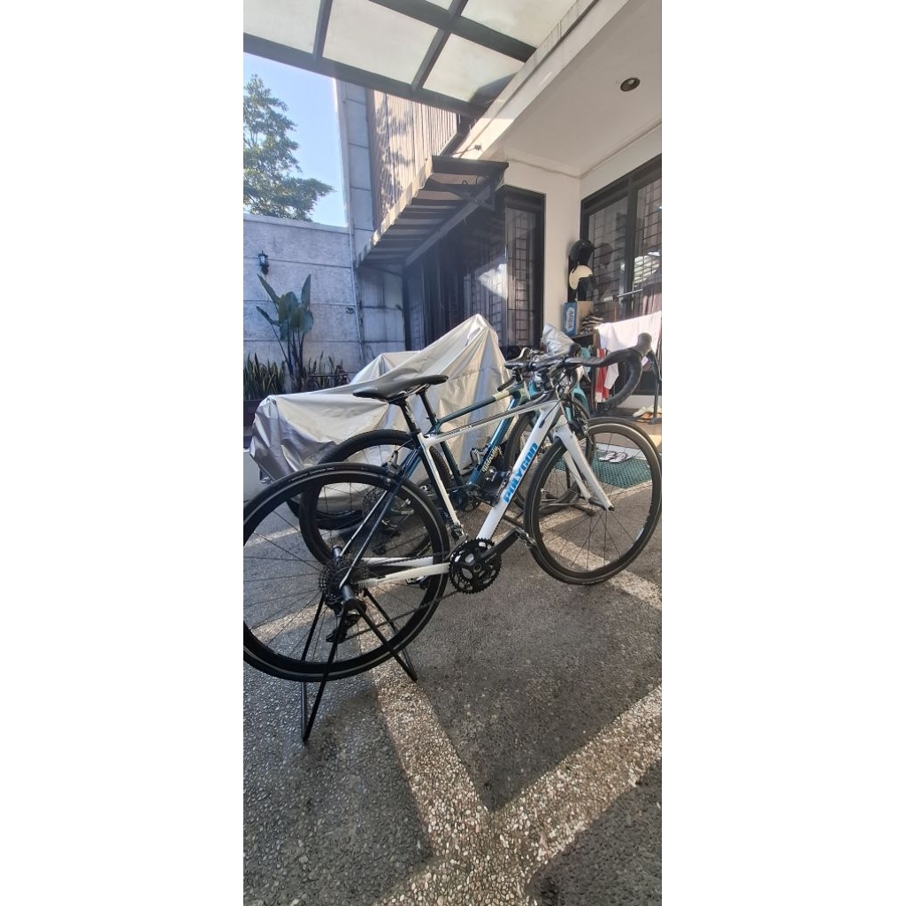 Helios c6.0 polygon size 51