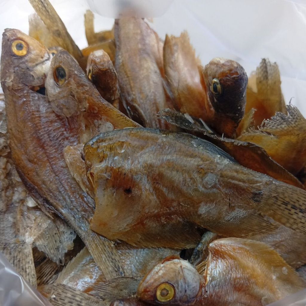 ikan kering sepat ikan kering 1 ons
