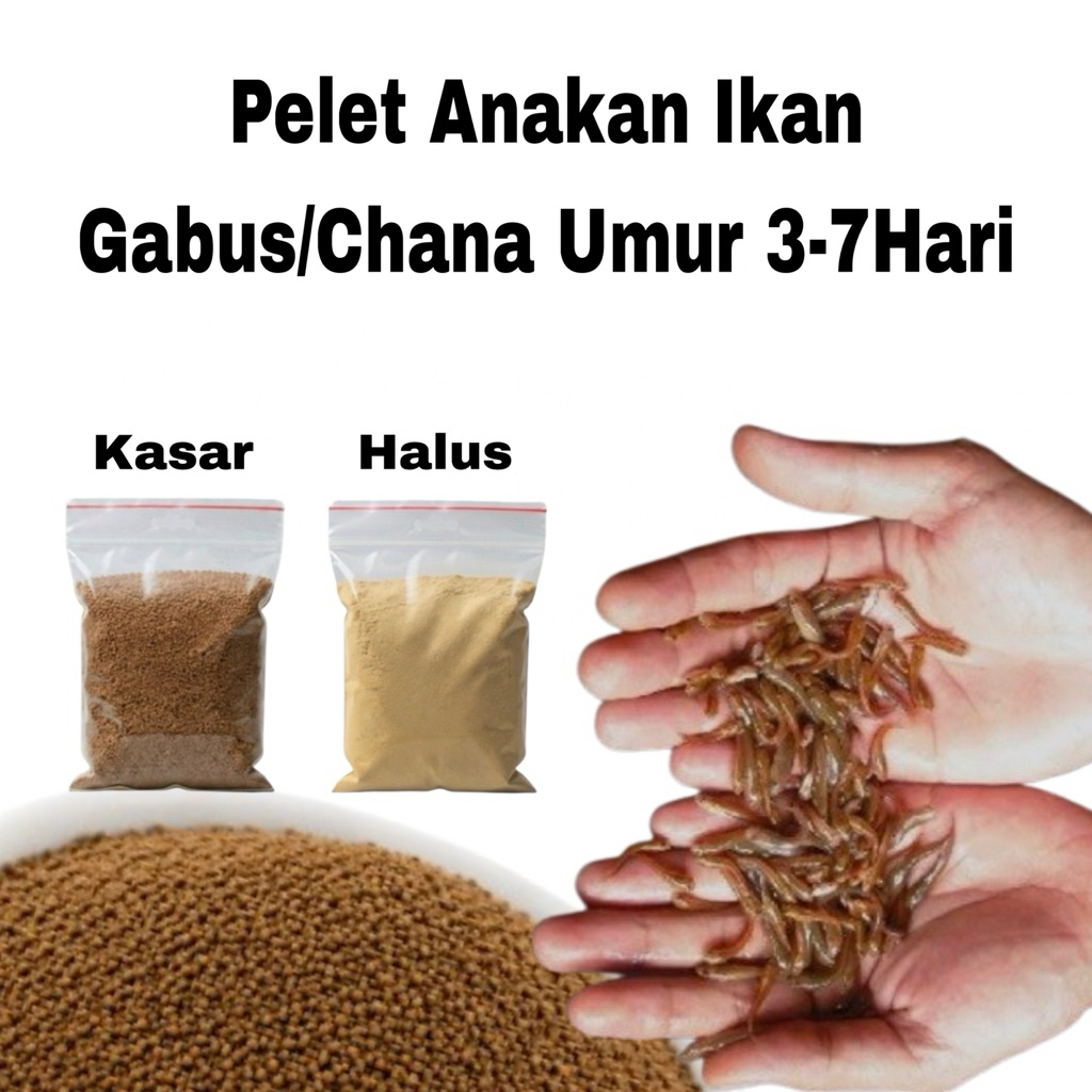 10gram Pelet Anakan Ikan Chana/Gabus Umur 3-7Hari Berprotein Tinggi