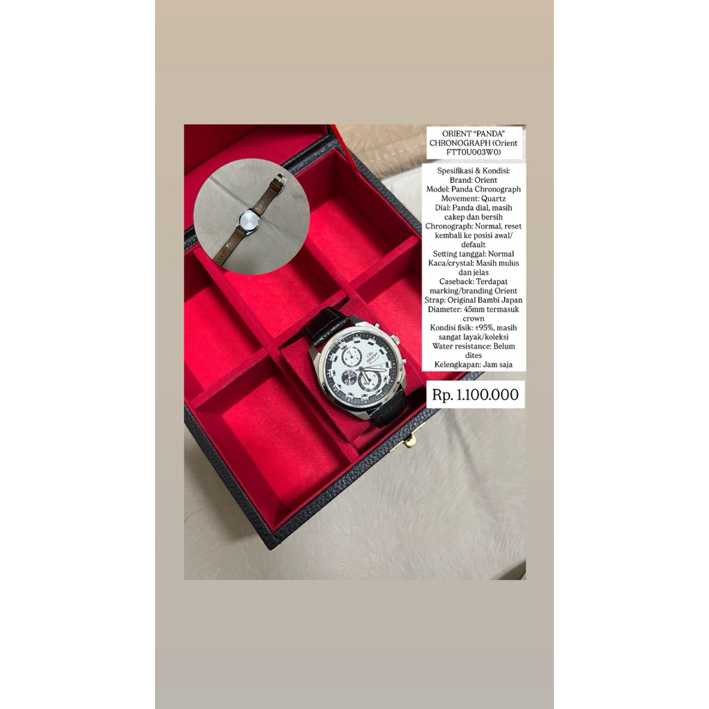 orient panda chronograph