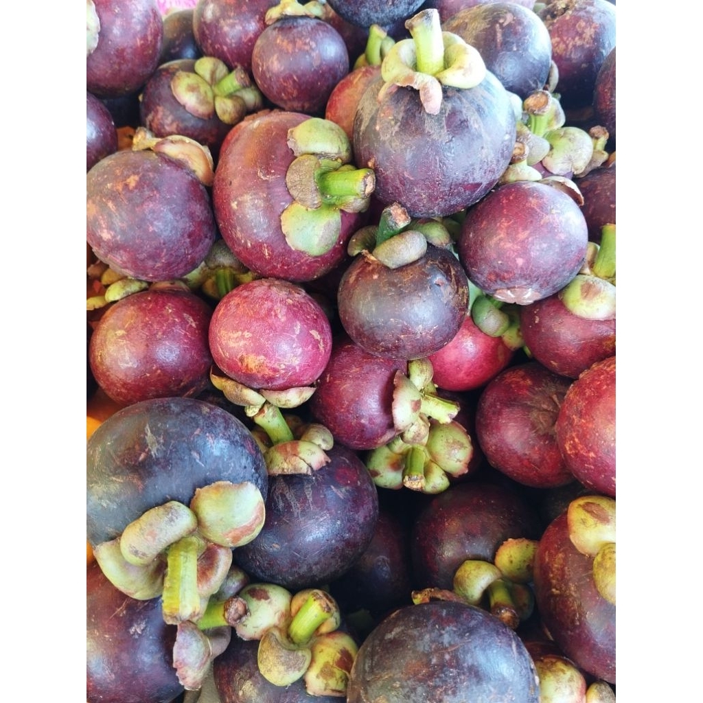 Buah Manggis 1 kg