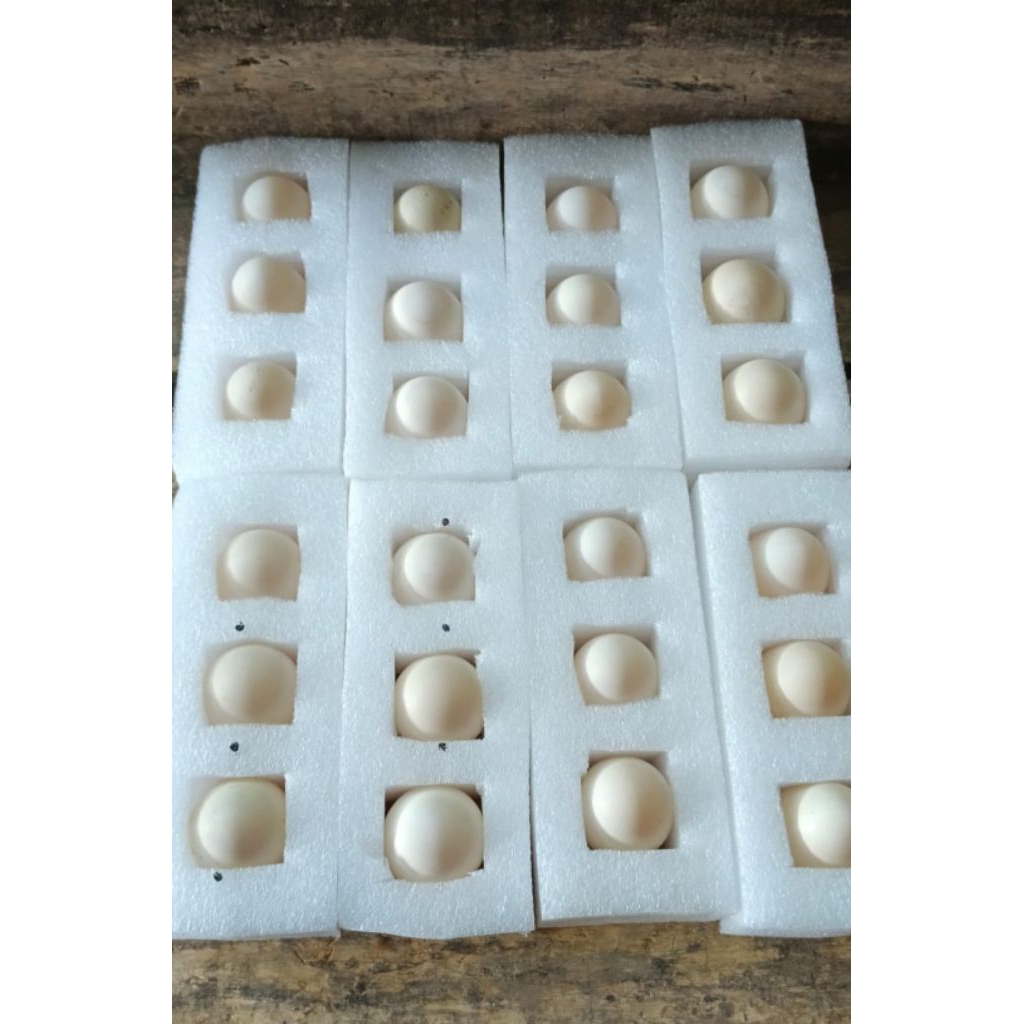 TELUR ENTOK JUMBO TRONTON