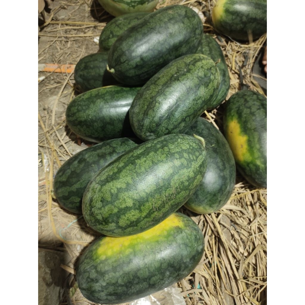 Buah Semangka Inul Merah Segar Manis, 1 Buah
