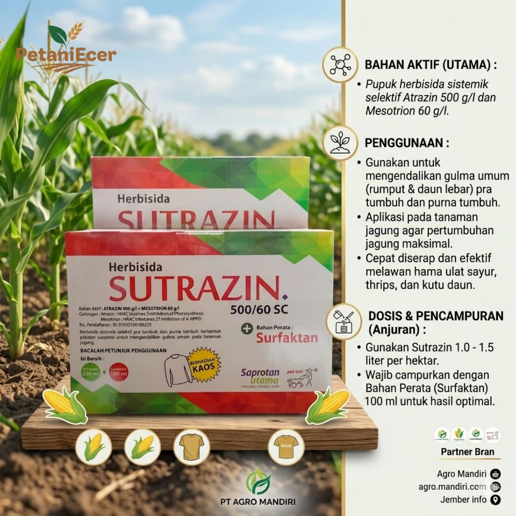 Sutrazin 560 EC Herbisida sistemik Selektif Tanaman jagung