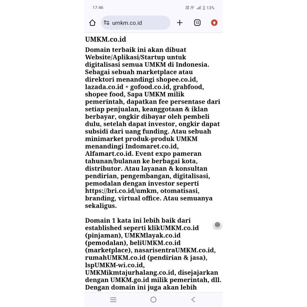 Domain UMKM.co.id