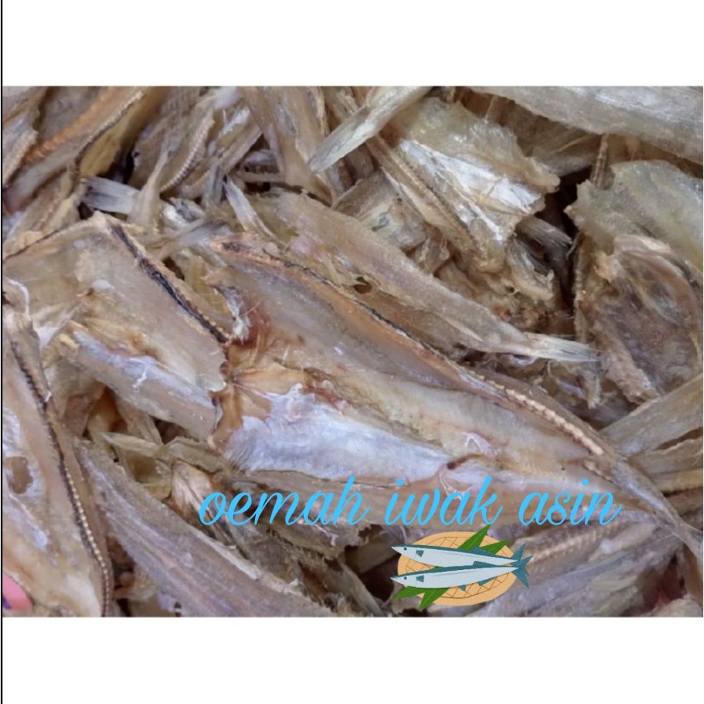 ikan asin bloso 250 gr/ikan gabus laut