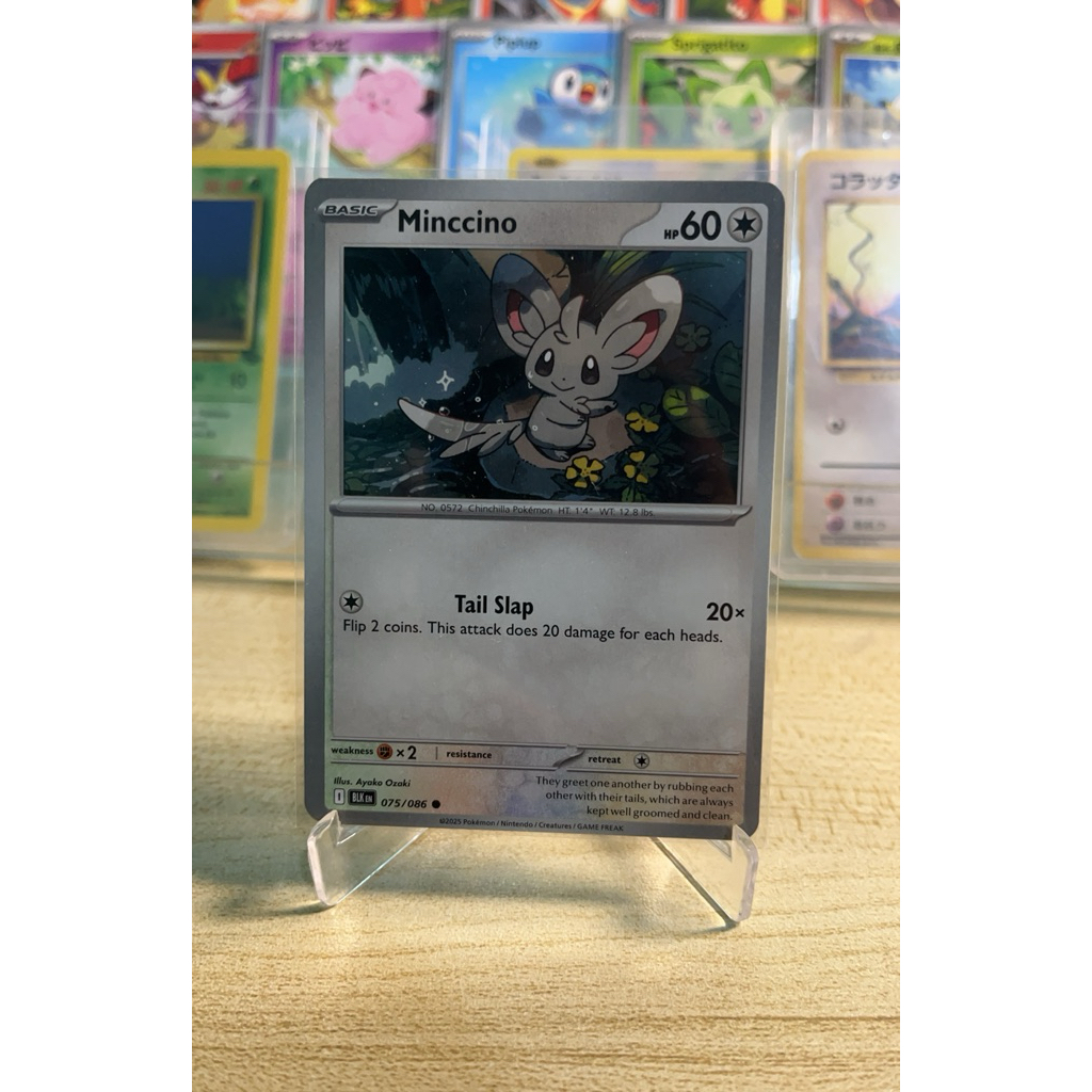 MINCCINO - BLK 075/086