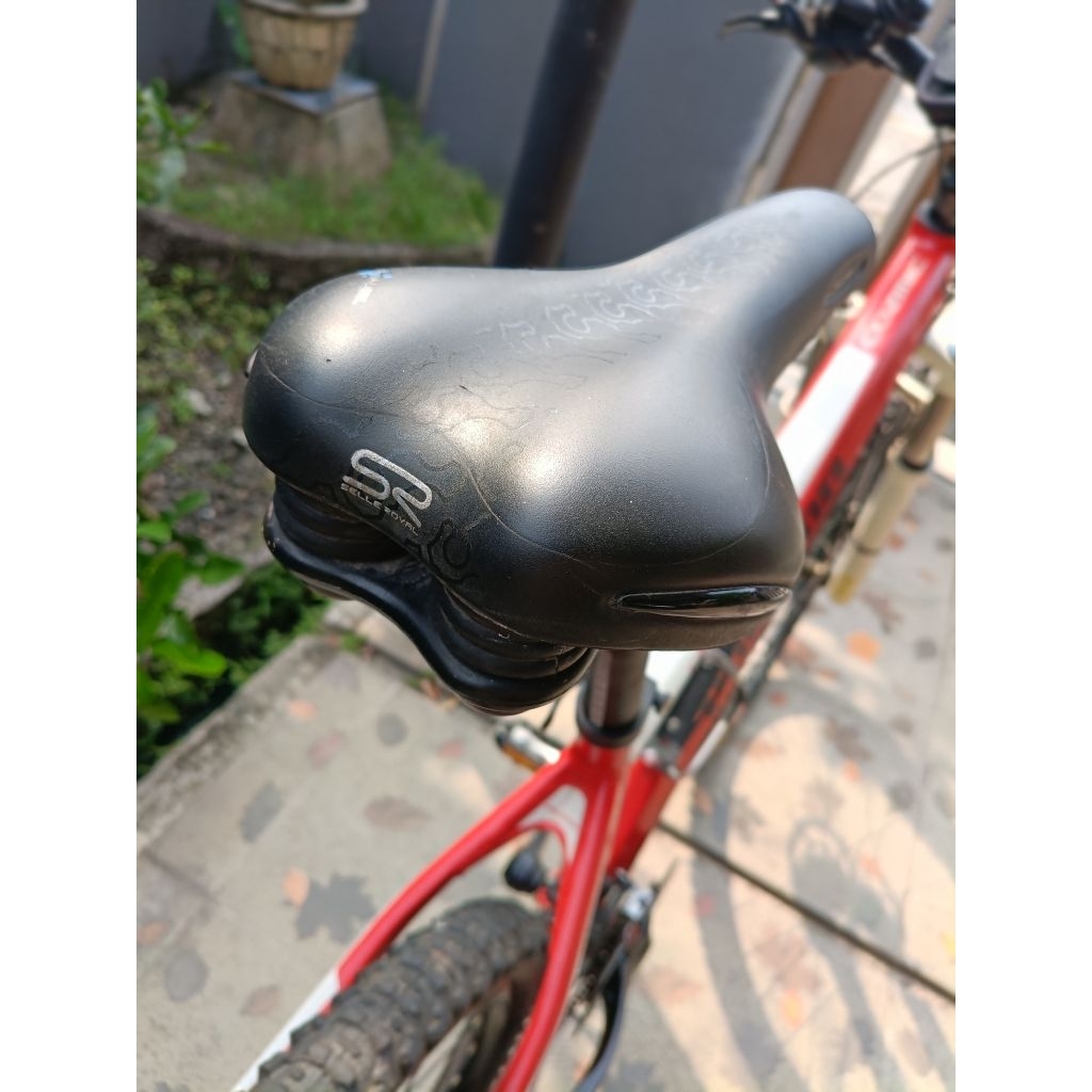 POLYGON COZMIC CX 1.0 part cakep