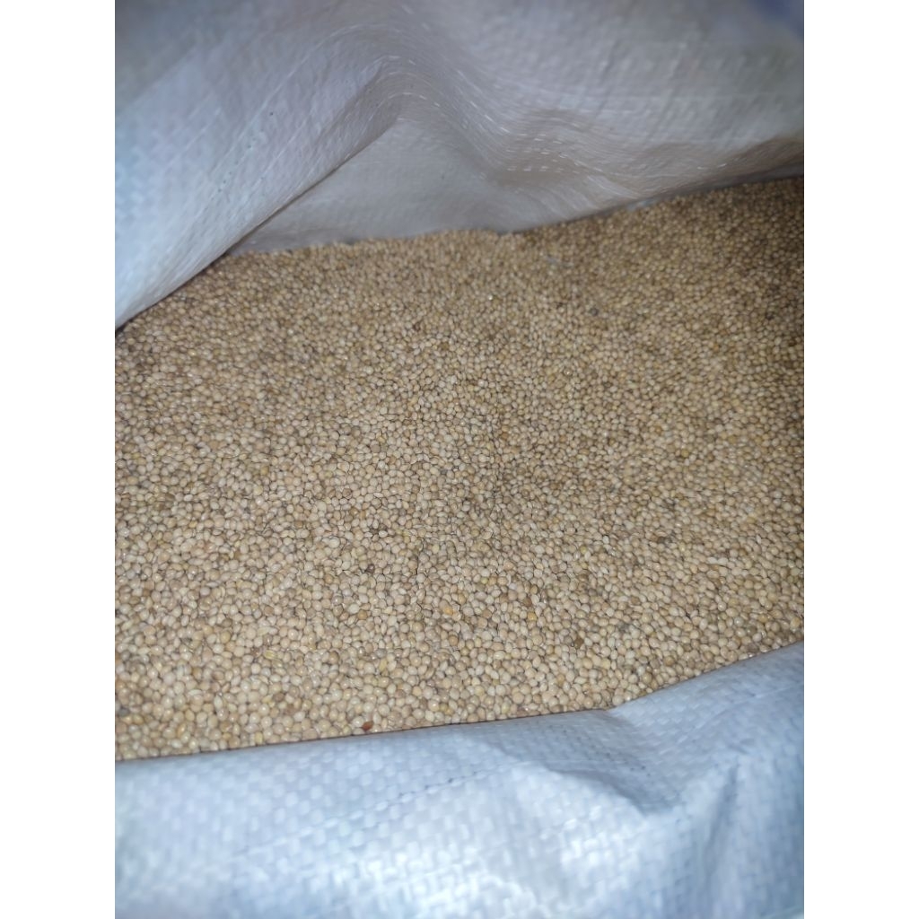 milet putih 1kg