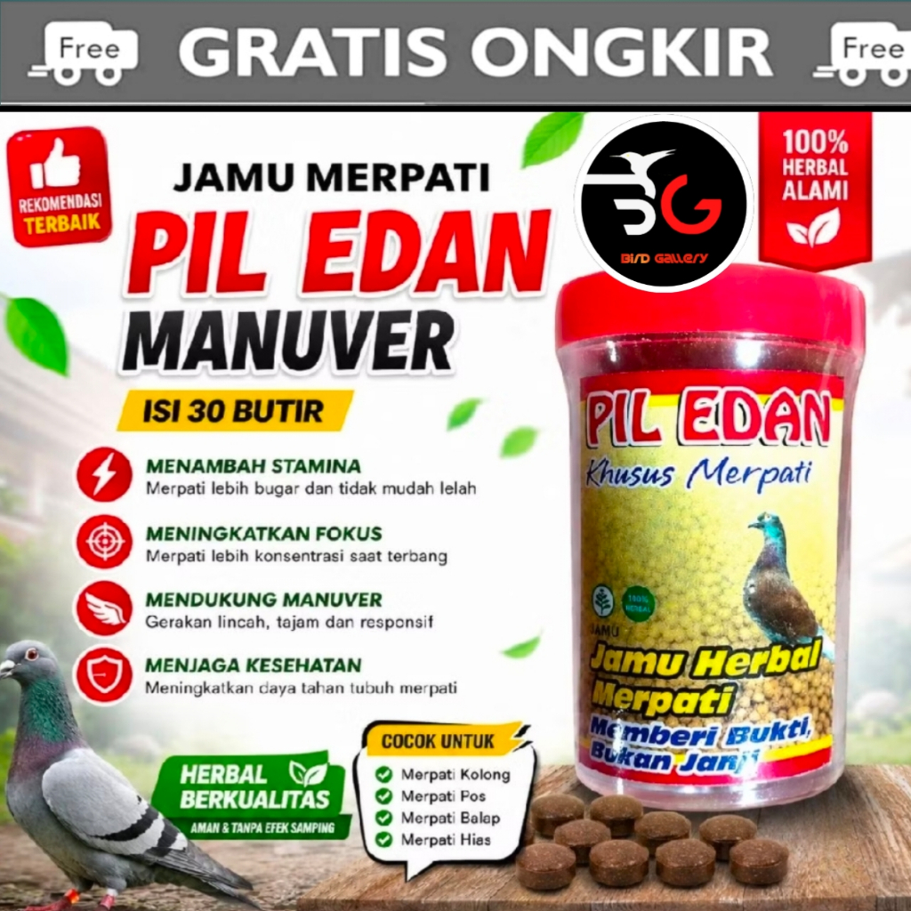 JAMU MERPATI PIL EDAN MENAMBAH POWER DAN STAMINA MERPATI PIL EDAN MERPATI