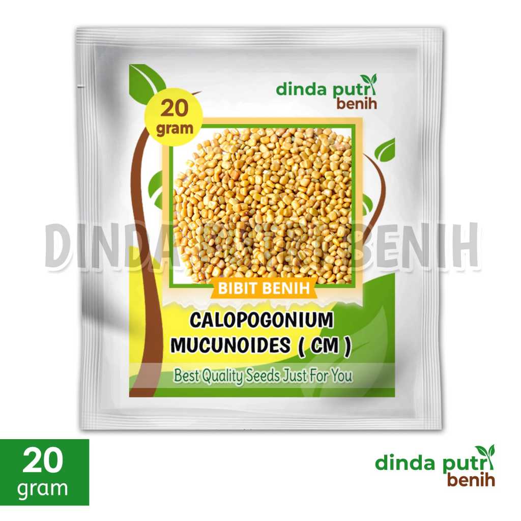 20 gram Benih Calopogonium Mucunoides (CM)