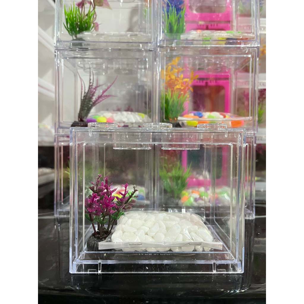 akuarium lego akrilik ikan cupang