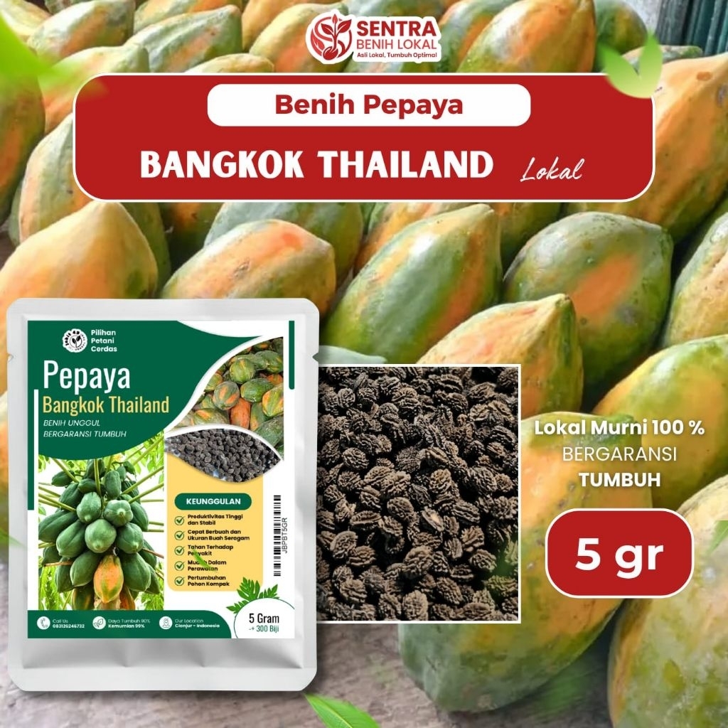 Benih Pepaya Bangkok Thailand Super - Ukuran Jumbo & Lebat (5g)