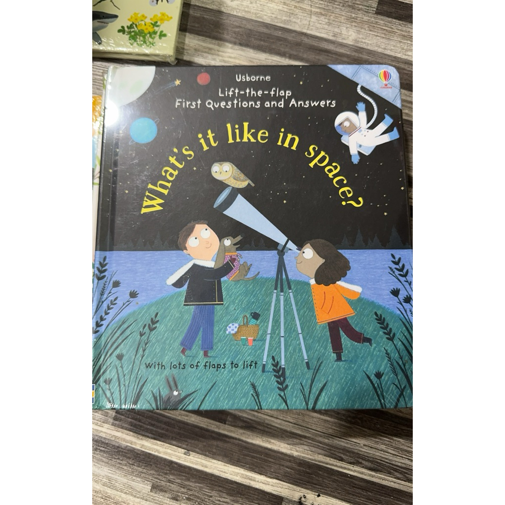 usborne lift the flap