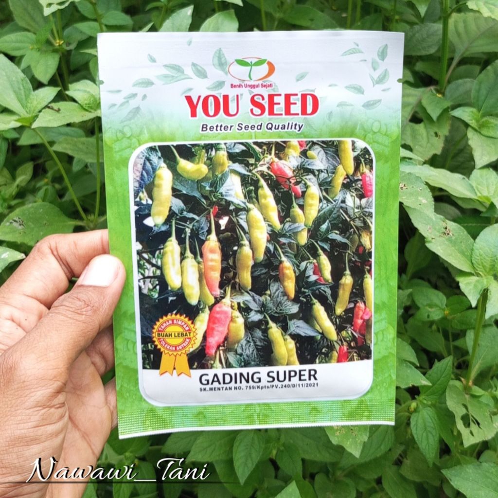 10 GRAM BENIH CABE RAWIT UNGGUL GADING SUPER ORIGINAL