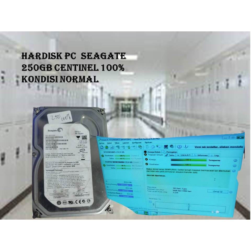 HARDISK PC 250GB SEAGATE CENTINELL 100%