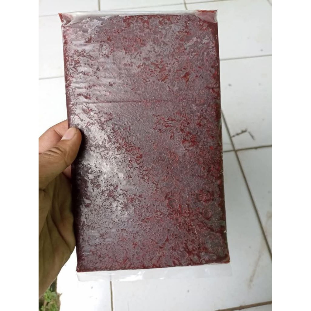 cacing beku lempeng 1kg isi 2 & 4 pakan ikan hias discus guppy dll cacaing darah beku lempengan bloo