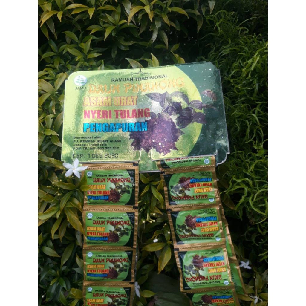 HERBAL daun pinahong