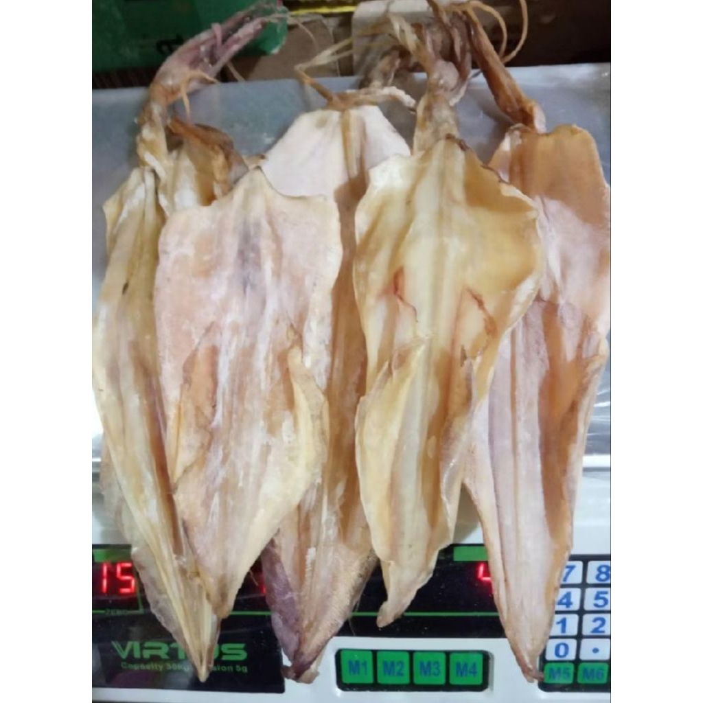 Sotong pangkong/ sotong kering 100g/ cumi kering 100g/ sotong pangkong 100g