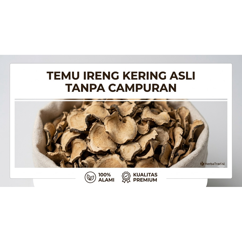 grosir 1 kg temu hitam kering kunyit ireng