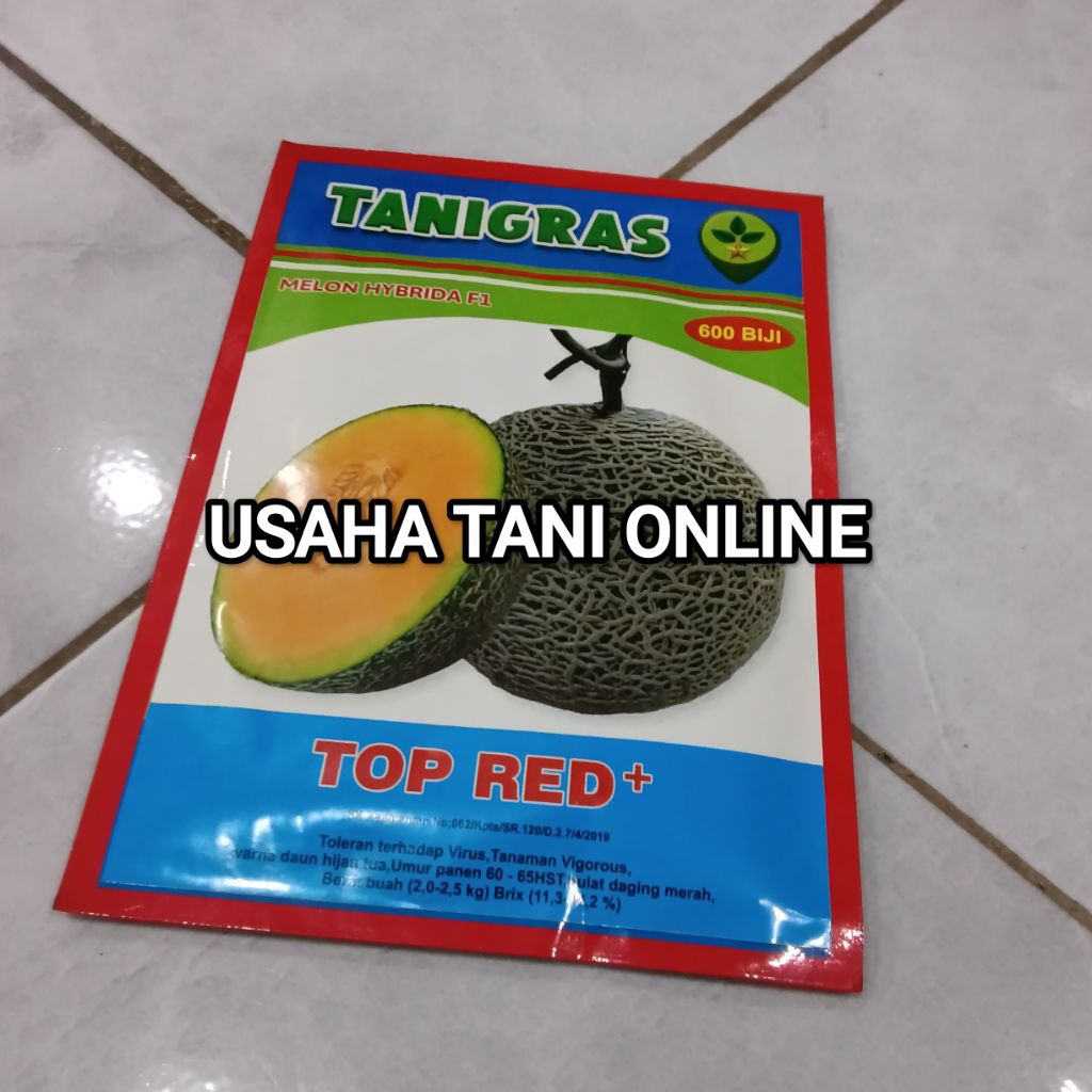Benih Bibit Melon Orange Top Red Plus F1 (Lebih Tahan Kriting Kresek Daun),  isi 600 - 800 Butir, Ex