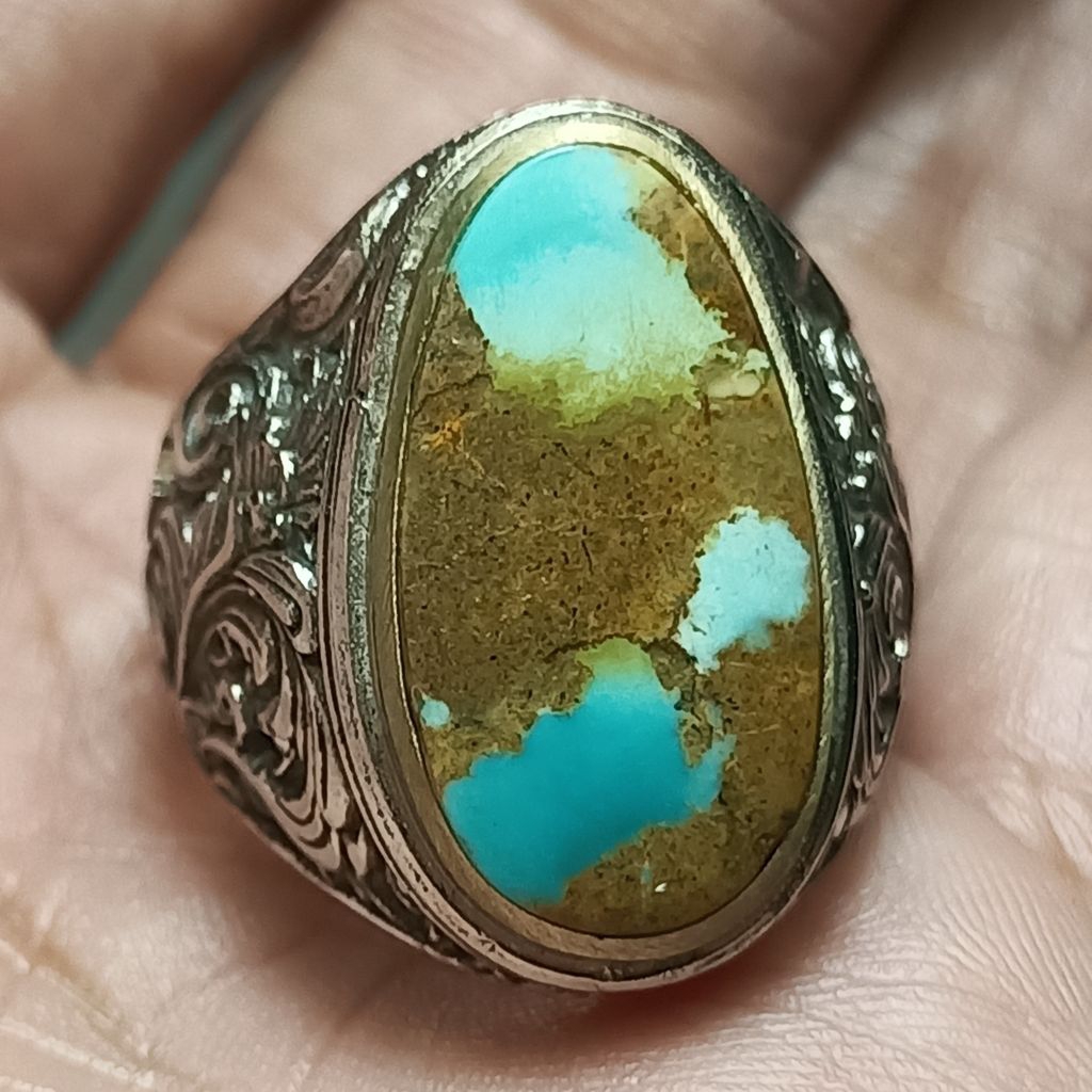 Pirus persia biru tosca ceplok kuro