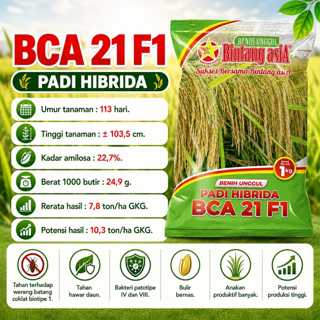 Benih Padi Hibrida BCA21F1 Bintang Asia