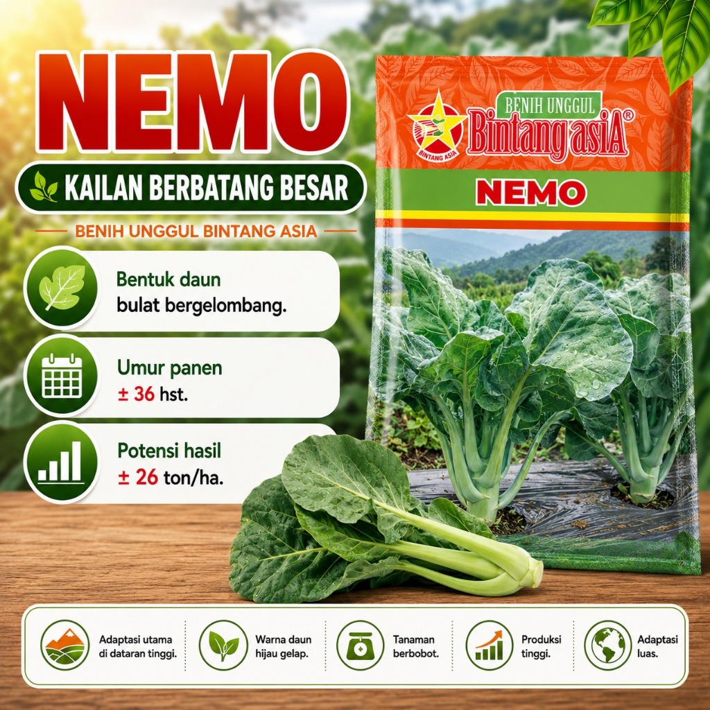 Benih Kailan Batang Besar NEMO Kemasan 10gr Bintang Asia