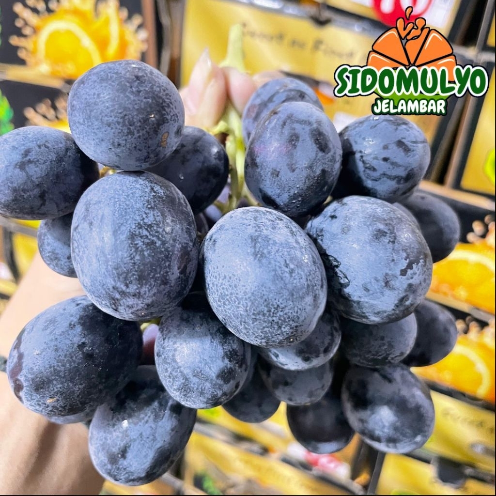 Buah Anggur Hitam Autumn ADORA Manis Seedless