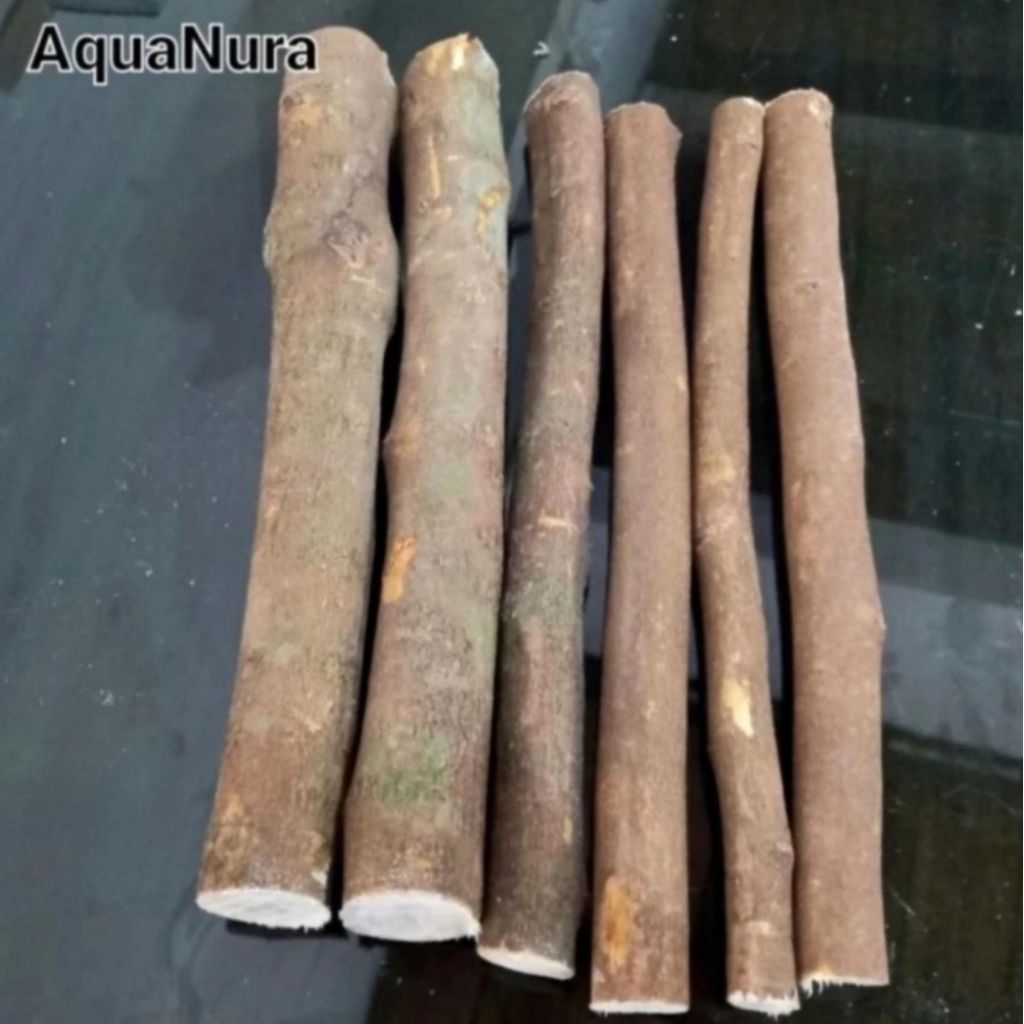 paket 6batang kayu rasamala lurus 25cm diameter randome aquascape aquarium