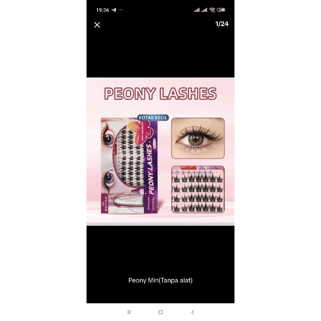 Beauty Plan Peony Lashes - Baru