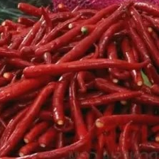 Cabe kriting Petik merah 1kg