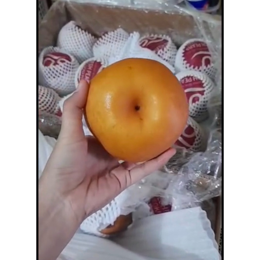 pear singo korea 1kg