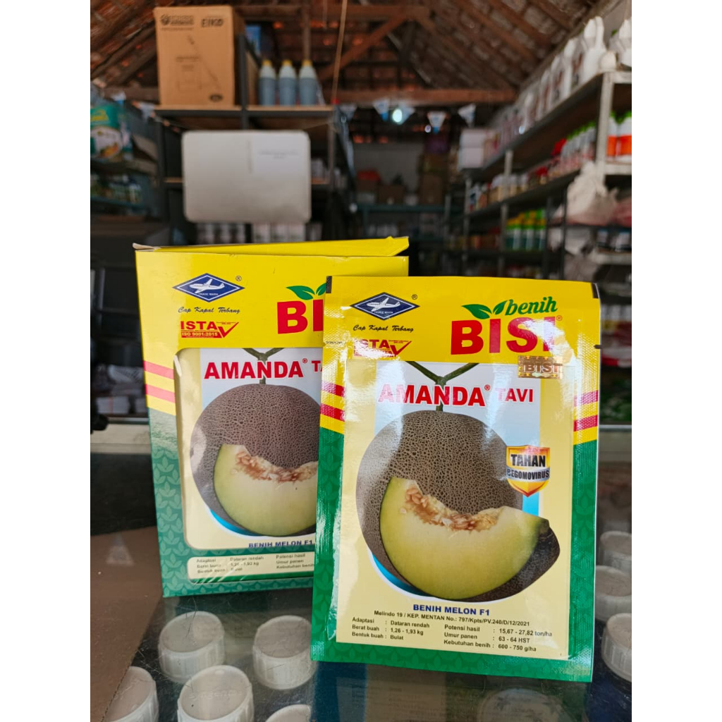 Benih Melon Amanda Tavi