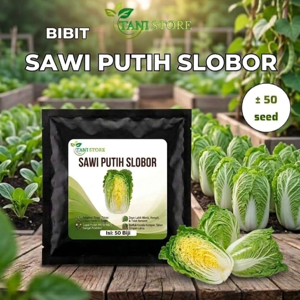 bibit benih sawi putih slobor unggulan berkualitas ±50 biji_sawi slobor