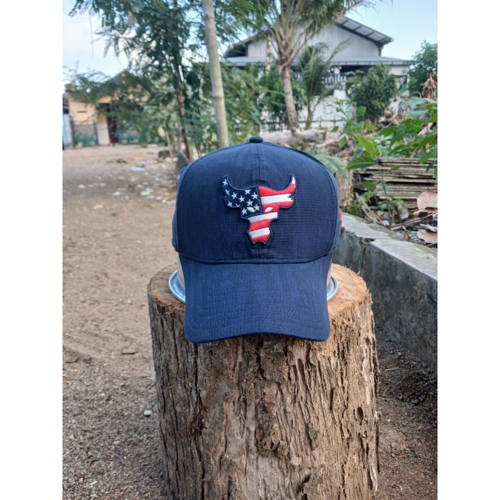 Under Armour Project Rock US Logo Baseball Cap