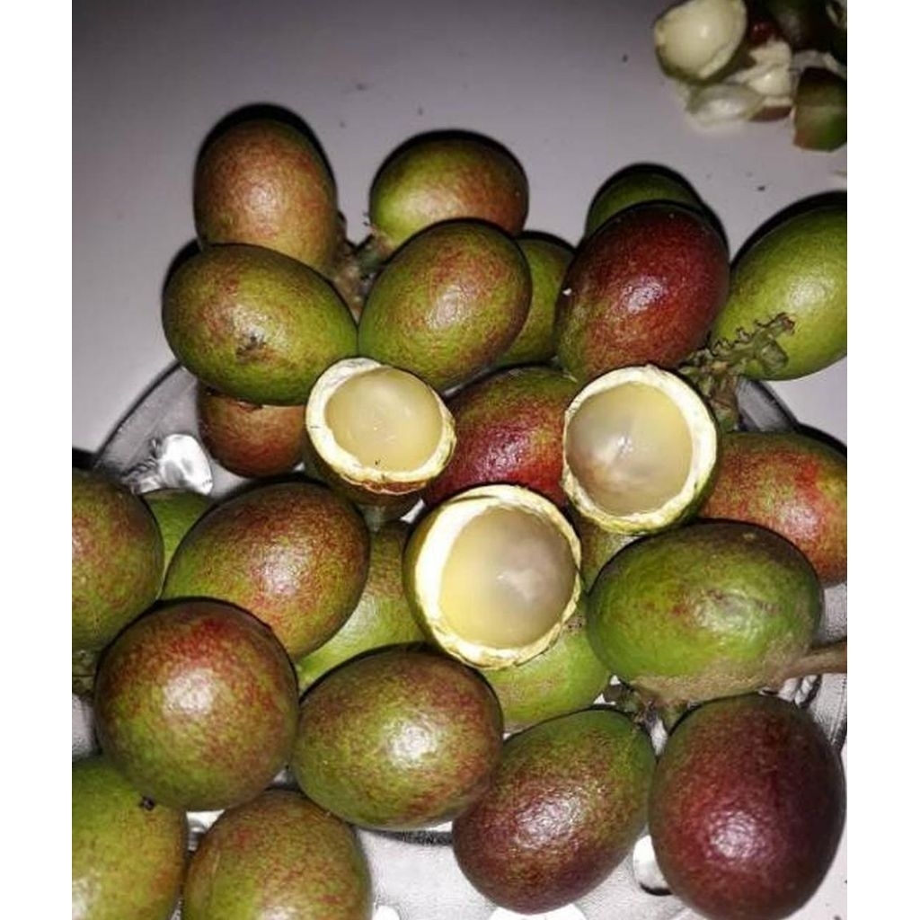 Buah Matoa Rembang Segar, Manis, dan Seger