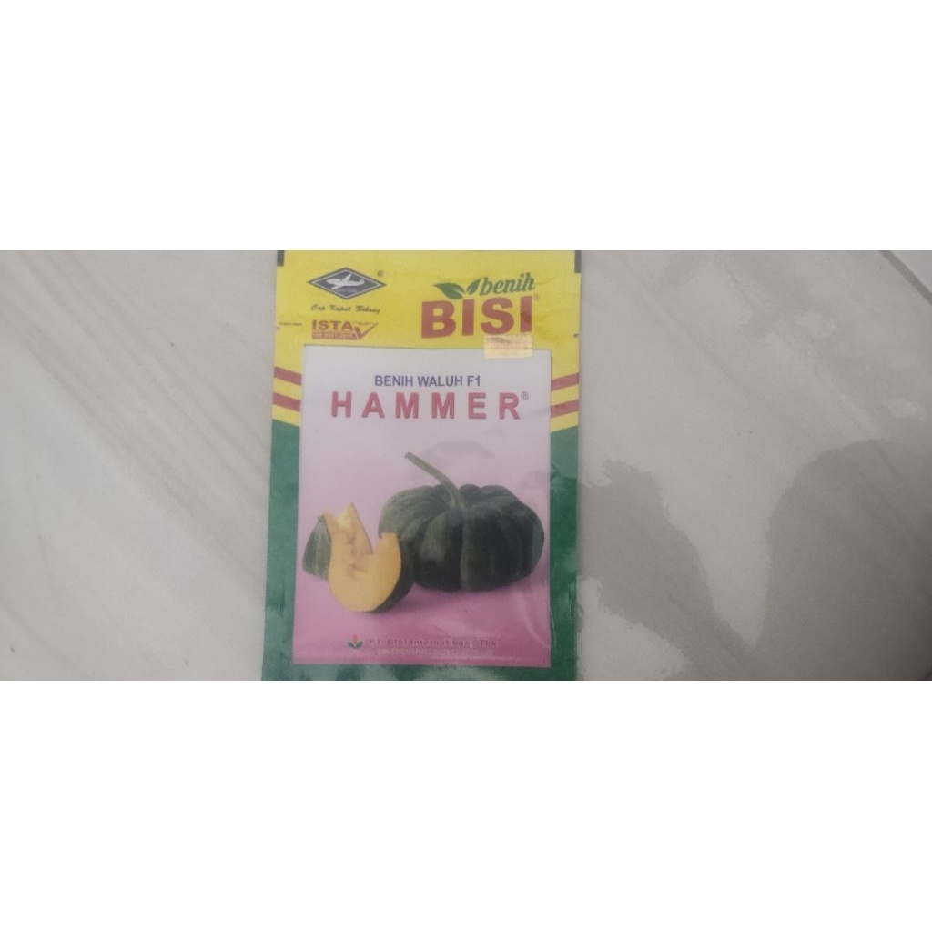 benih waluh f1 HAMMER