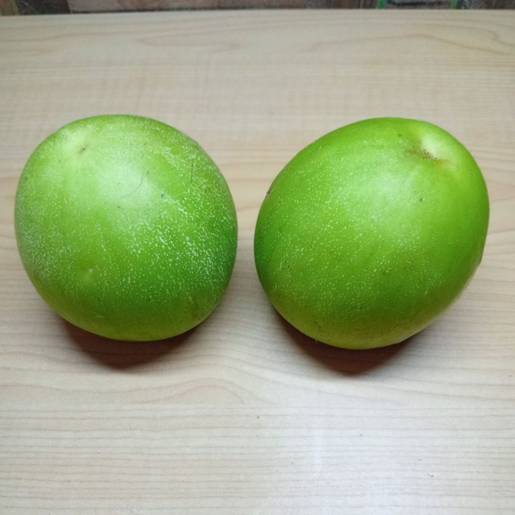 Buah Bidara India / Putsa