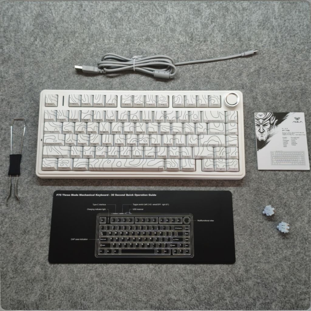 Aula F75 Gradient white