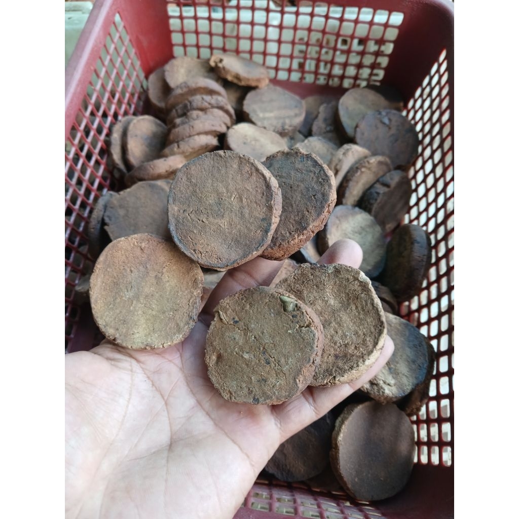 gambir koin getah gambir asli per 1 pcs