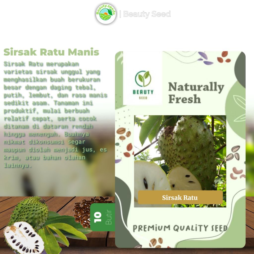 10Butir Biji Sirsak Ratu Manis - Biji Sirsak Ratu Premium Siap Semai
