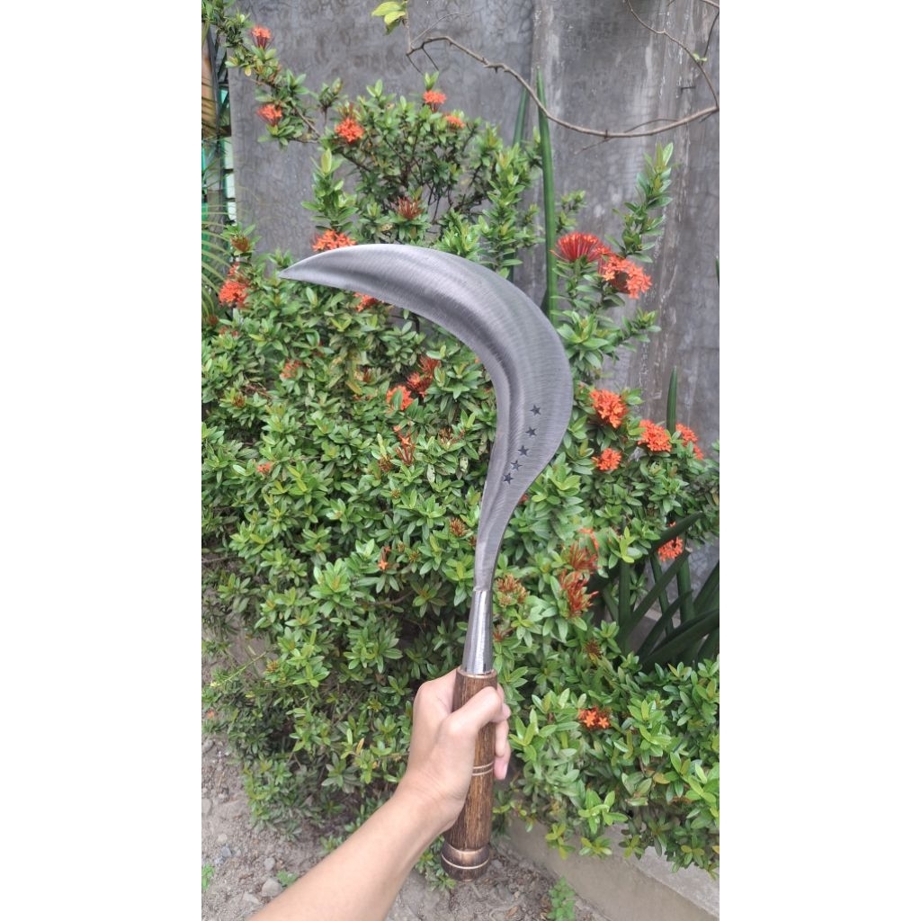 Arit Bintang Lima baja carbon