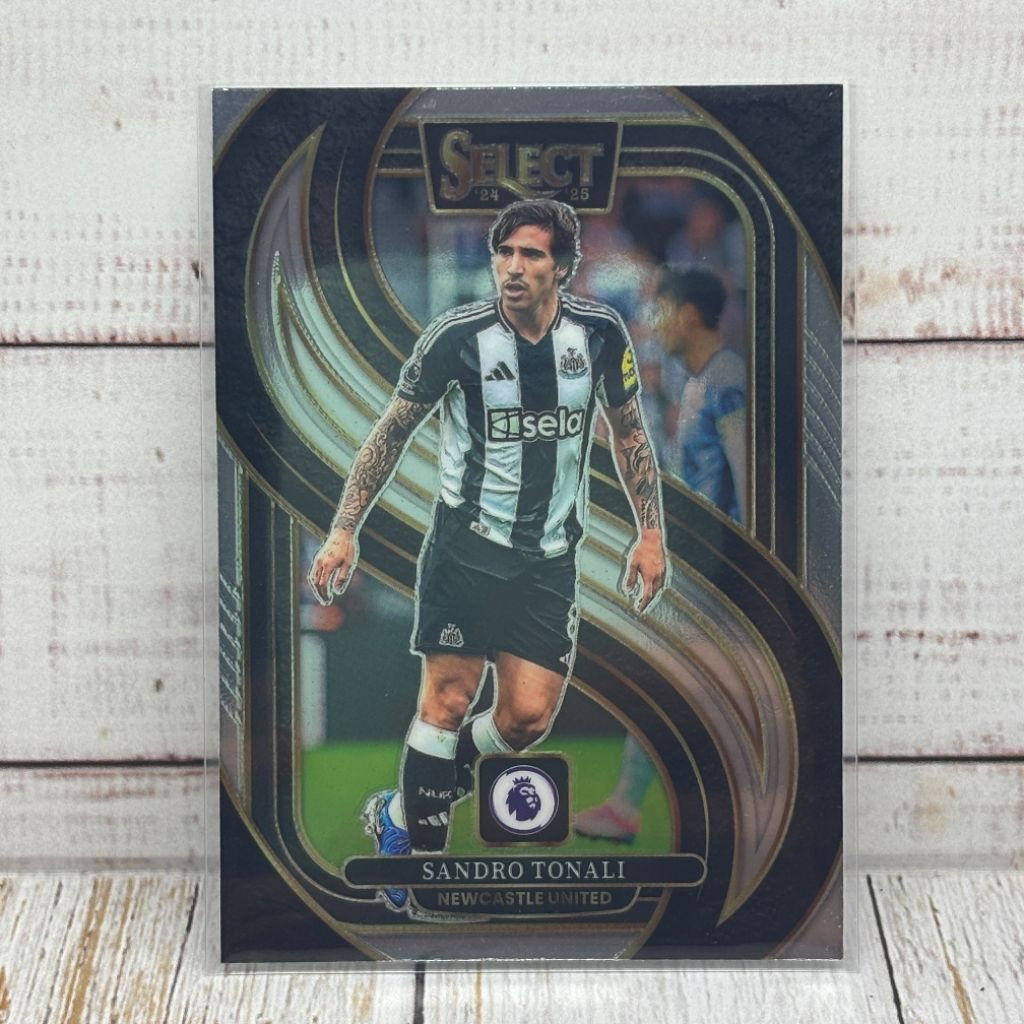 Kartu Bola Tonali Newcastle Panini Select Original