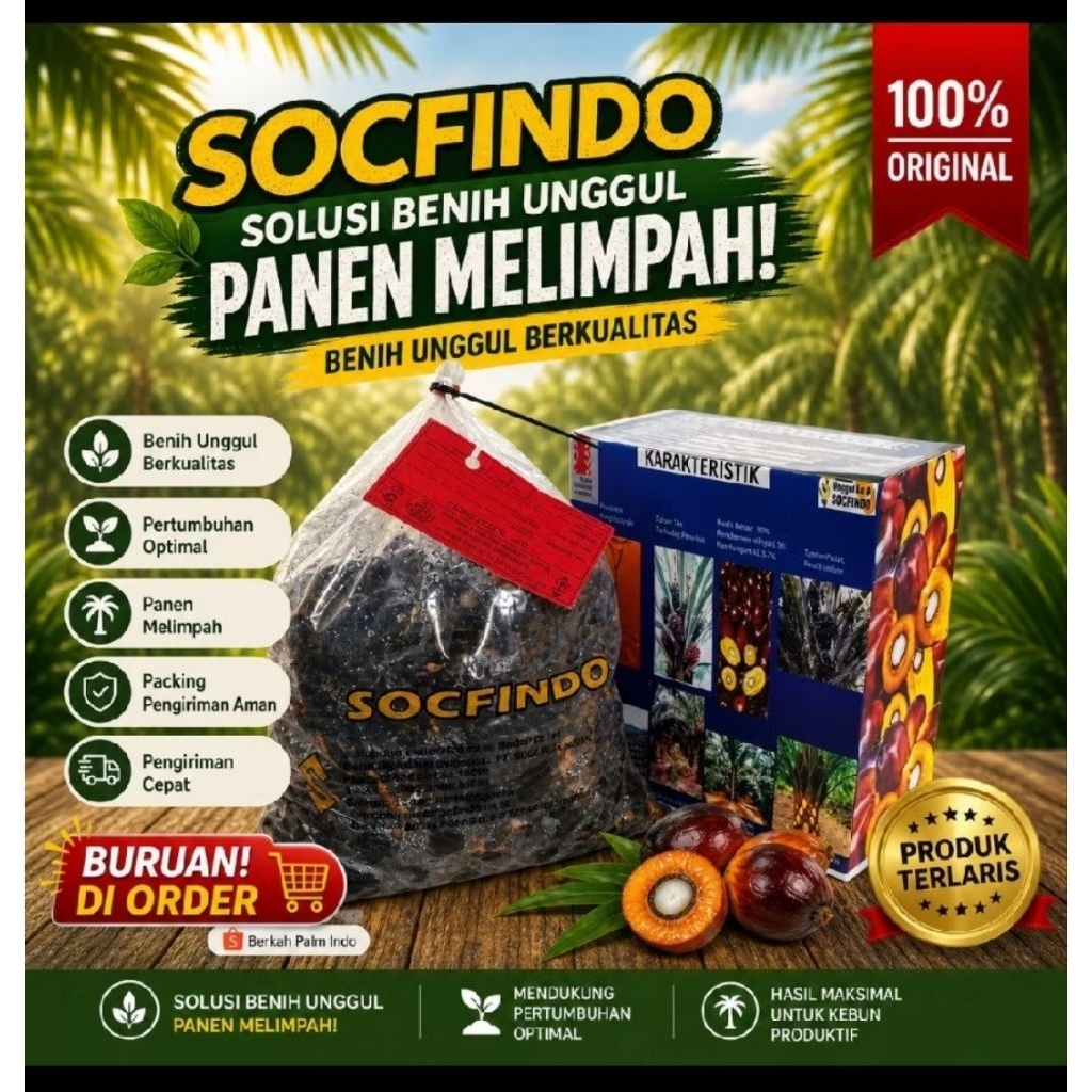 biji bunga matahari