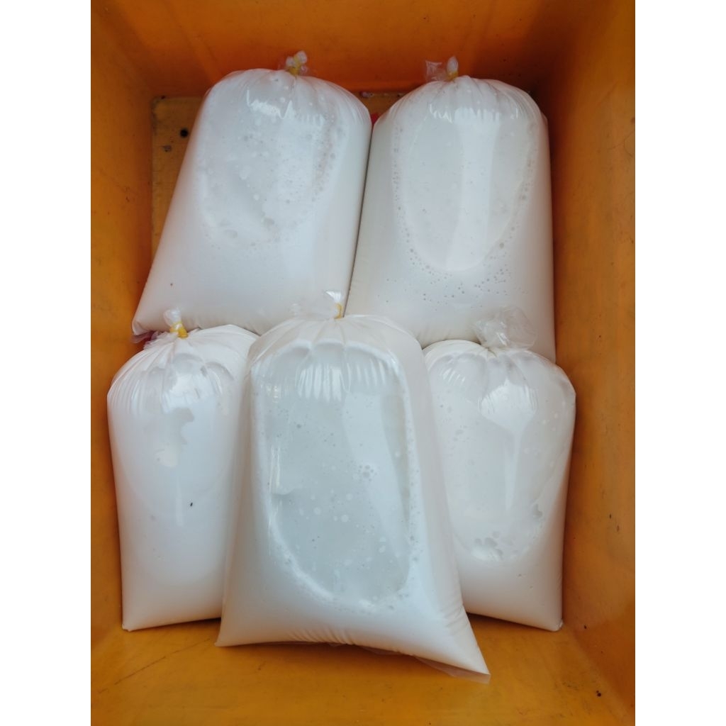 santan kental kelapa